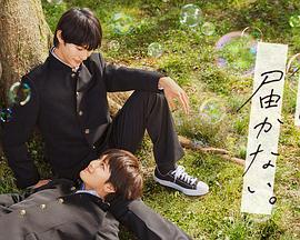 seo首页标题怎么优化